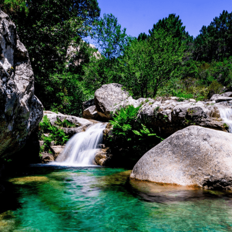 Ambiance montagne et nature